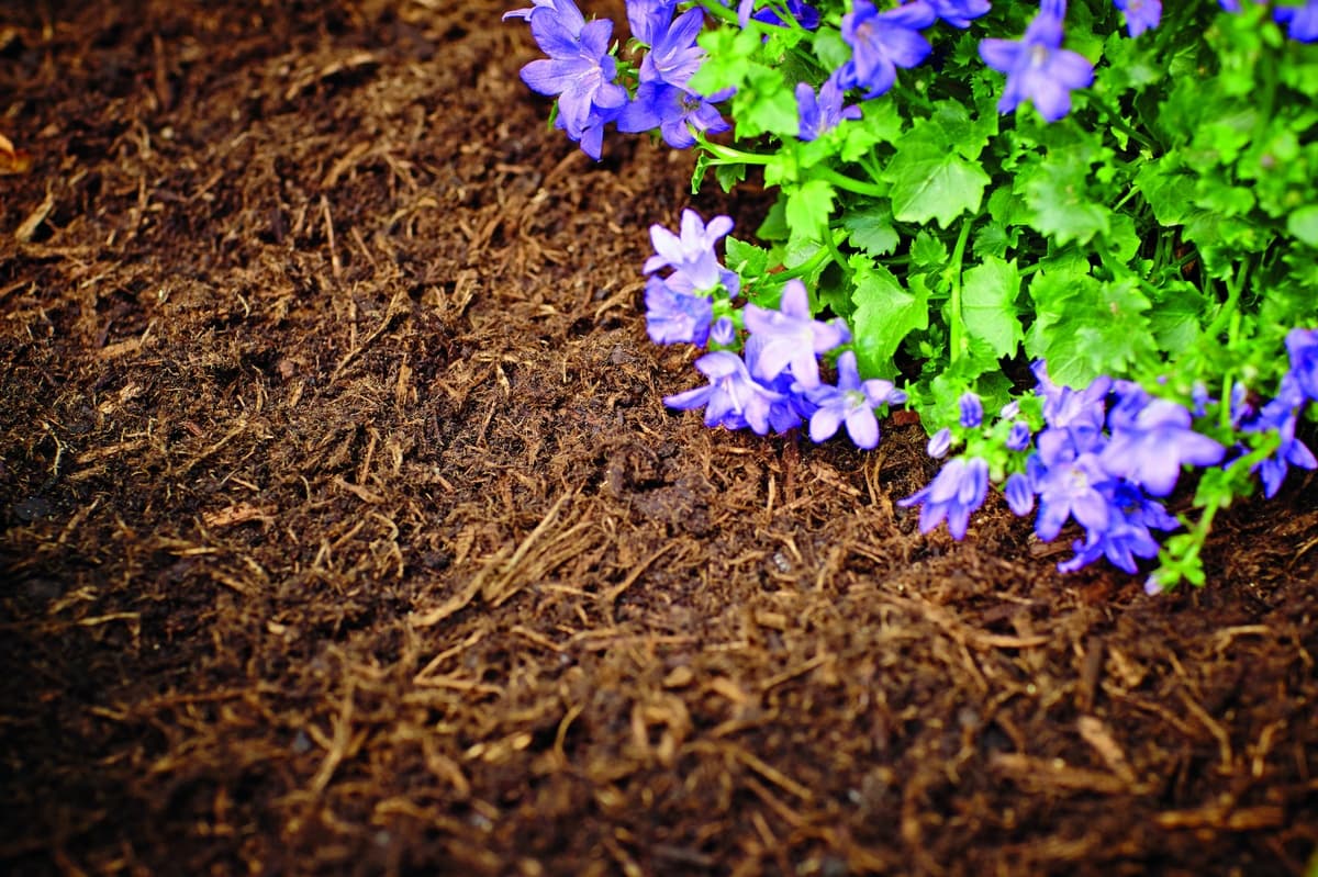 Ein vollständiger Leitfaden zum Gartenfaserkauf: Tipps und Empfehlungen