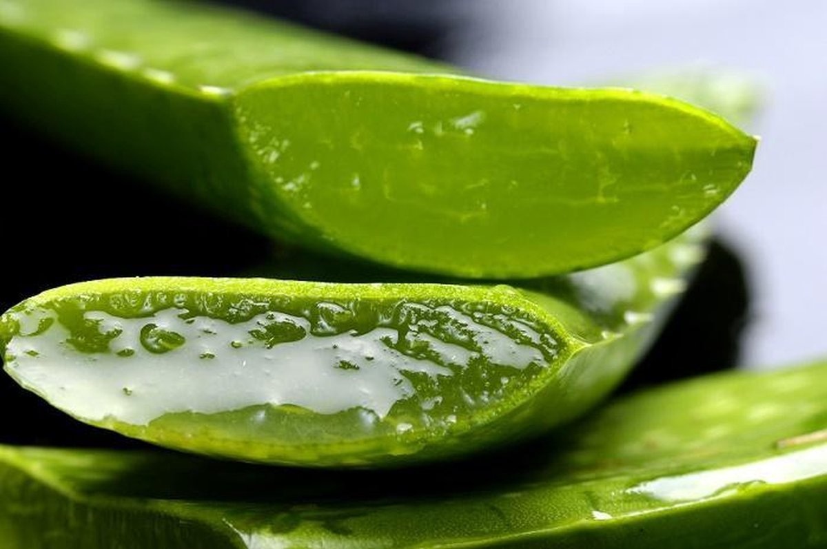 Warum ein Unabhängiger Distributor von Forever Living Products auf die Aloe Propolis Creme setzt