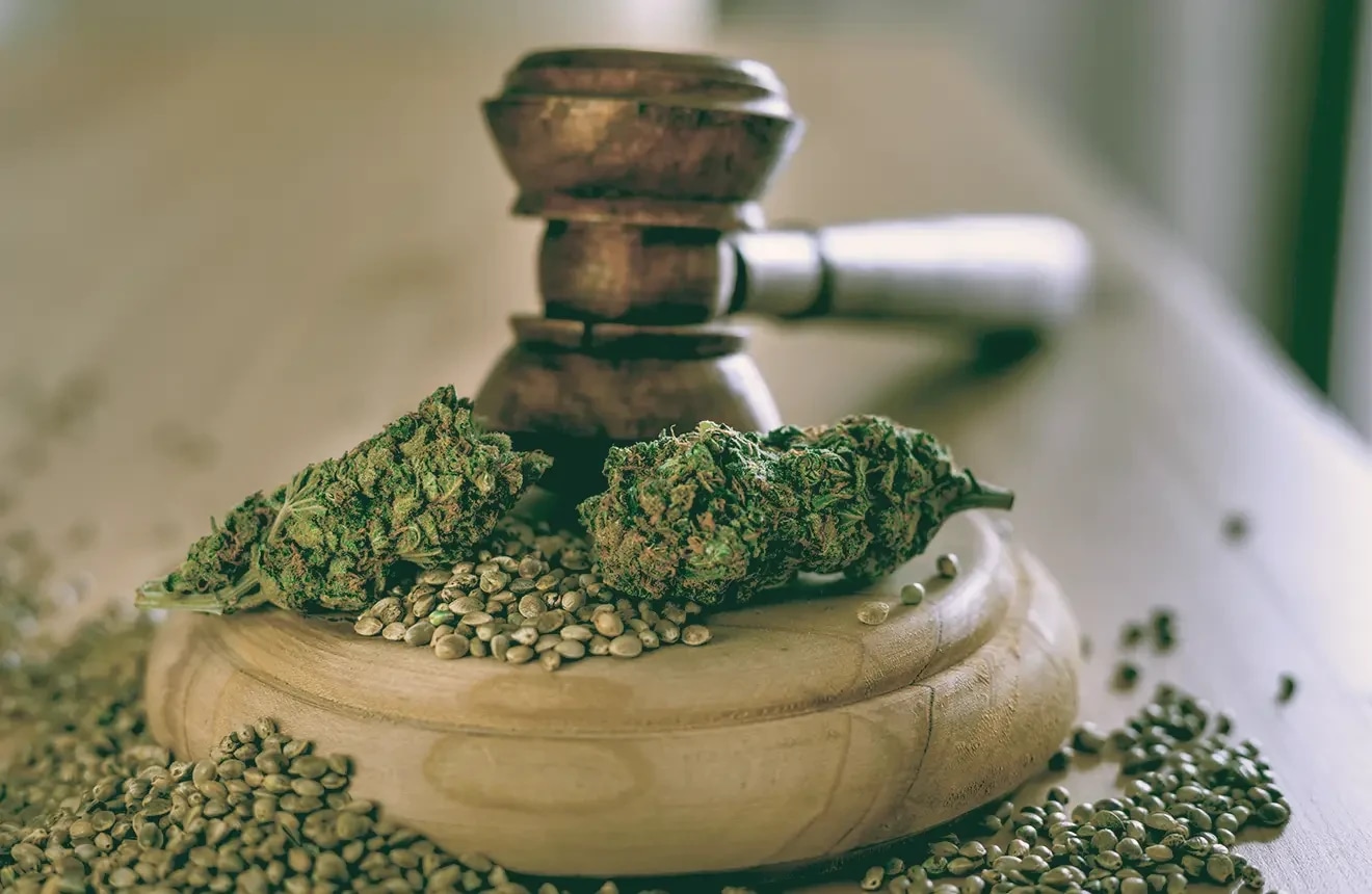 Ice Kush: Gruselige Abenteuer in der Cannabis-Erkundung