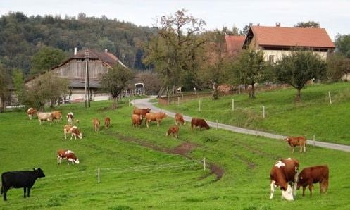 Pachtvertrag landwirtschaft vorlage und Steuern: Was Sie wissen müssen