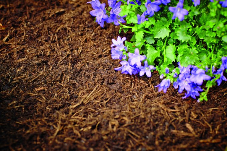 Ein vollständiger Leitfaden zum Gartenfaserkauf: Tipps und Empfehlungen