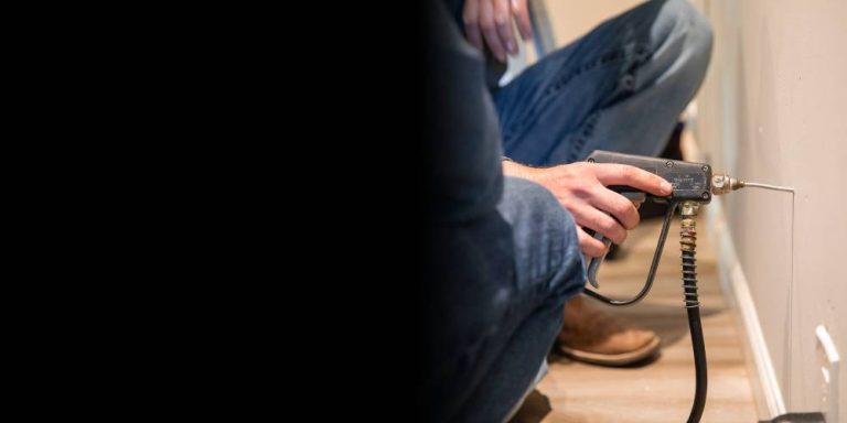 Kammerjäger Notdienst: Maßgeschneiderte Strategien für Ihr Haus und Ihren Garten